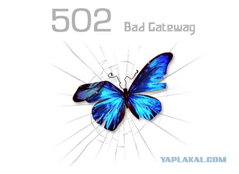 торрент-трекер nnm-club войти